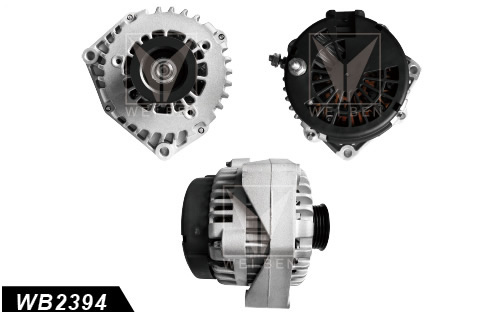 alternator china